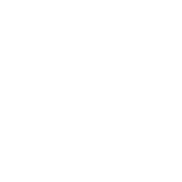 Seo Optimizasyonu